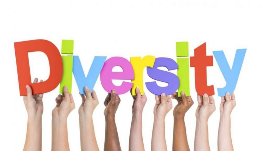 District Report on Diversity, Equity and Inclusion