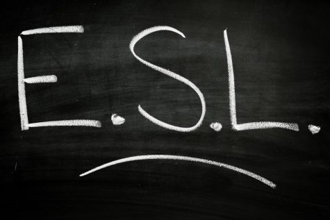 To ESL or not to ESL?