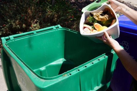 Green waste management efforts grow