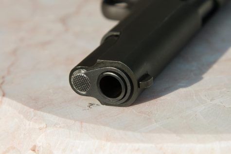 Gun Violence in the School Systems