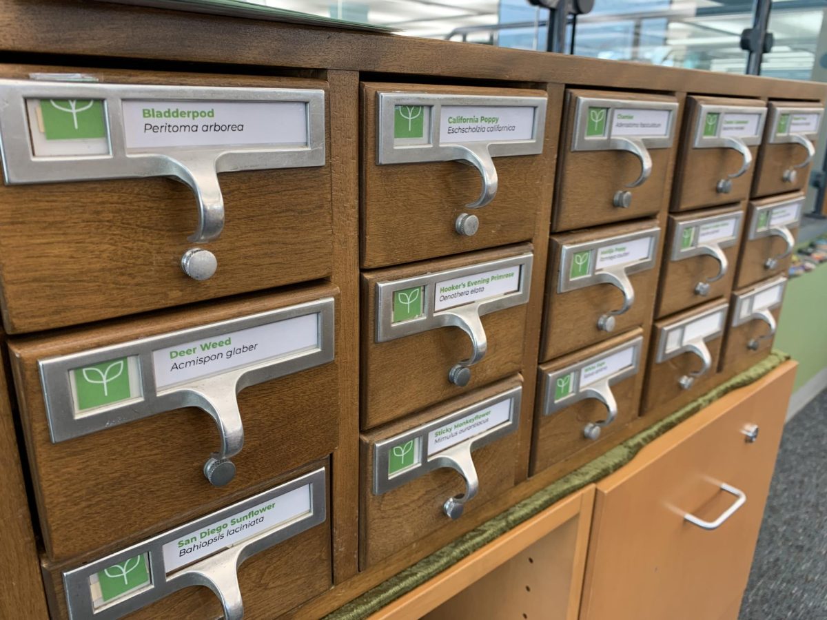 Close-up of labeled seed drawers with native plant names like Bladderpod, California Poppy, and Deer Weed.
