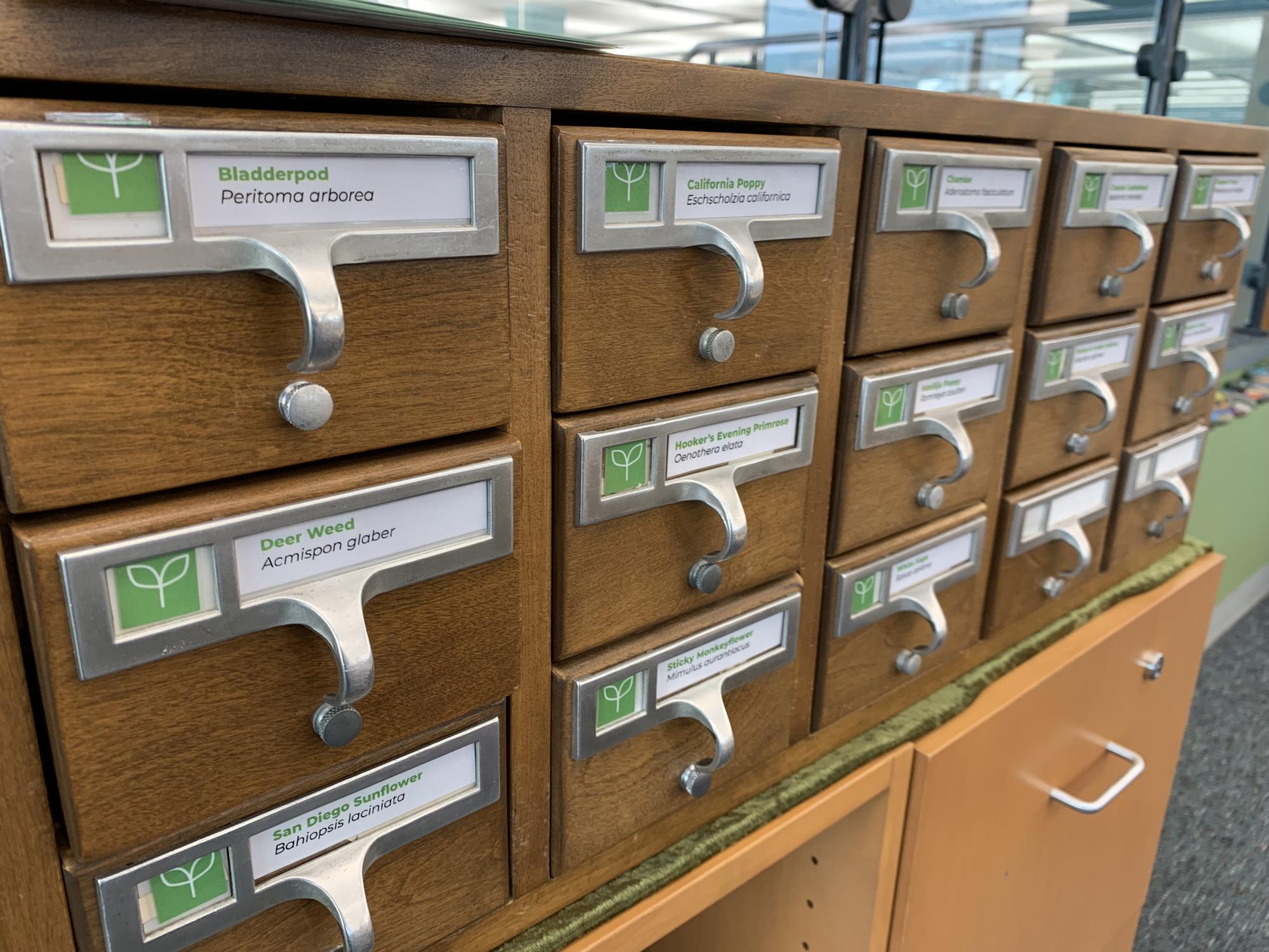 Close-up of labeled seed drawers with native plant names like Bladderpod, California Poppy, and Deer Weed.
